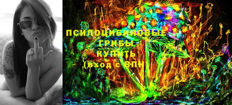 mega   Бугульма  Псилоцибиновые грибы мухоморы 